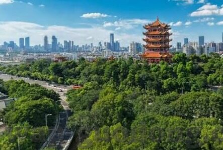 精品亚洲一区二区三区-探索亚洲影视文化的多元魅力，精品一区、二区、三区的独特视角