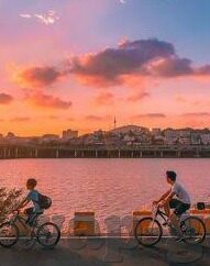久久精品国产亚av麻豆-