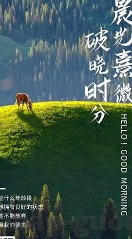 伦理动漫片-伦理动漫片，探索人性与道德的深度交汇