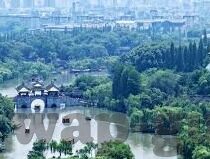 麻豆传媒 破解版-麻豆传媒，真实分享与学习的界限