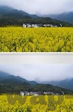麻豆传媒在线app-揭开麻豆传媒在线app的真相